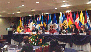 90ª Reunión Ordinaria del Consejo Directivo del IIN