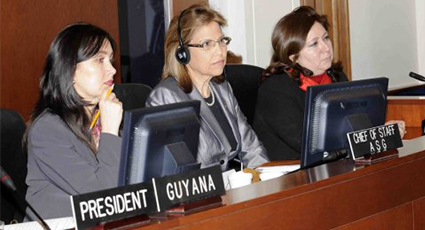 Presentación del Plan de Acción del IIN 2011 – 2015 en el seno del Consejo Permanente de la OEA