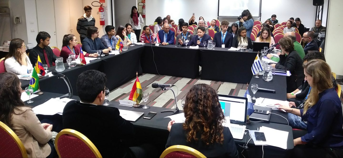 IIN expuso situación de los Derechos de la Niñez en las Américas en la RAADH de Mercosur